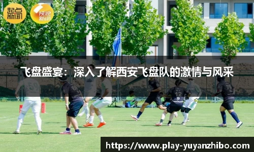 雨燕体育直播