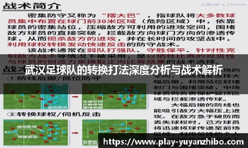雨燕体育直播官方网站