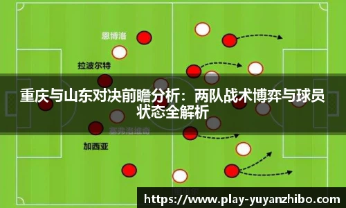 雨燕体育直播平台