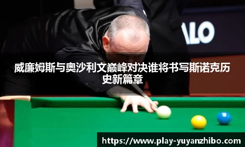 雨燕体育直播平台